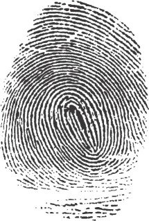 How Long Do Fingerprints Last: Unveiling the Mysteries of Identifying Marks