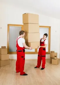 Navigating Change: Movers and Packers in Singapore