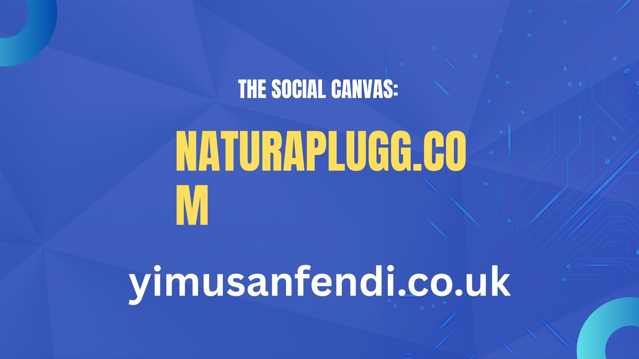 Naturaplugg.com