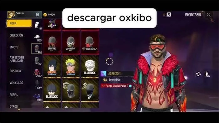 Oxkibo